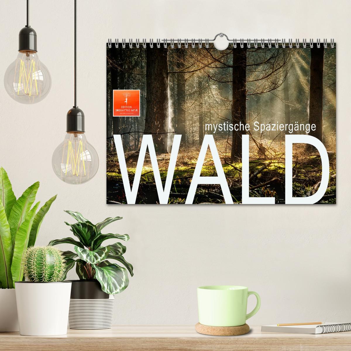 Bild: 9783435071876 | Wald - mystische Spaziergänge (Wandkalender 2025 DIN A4 quer),...