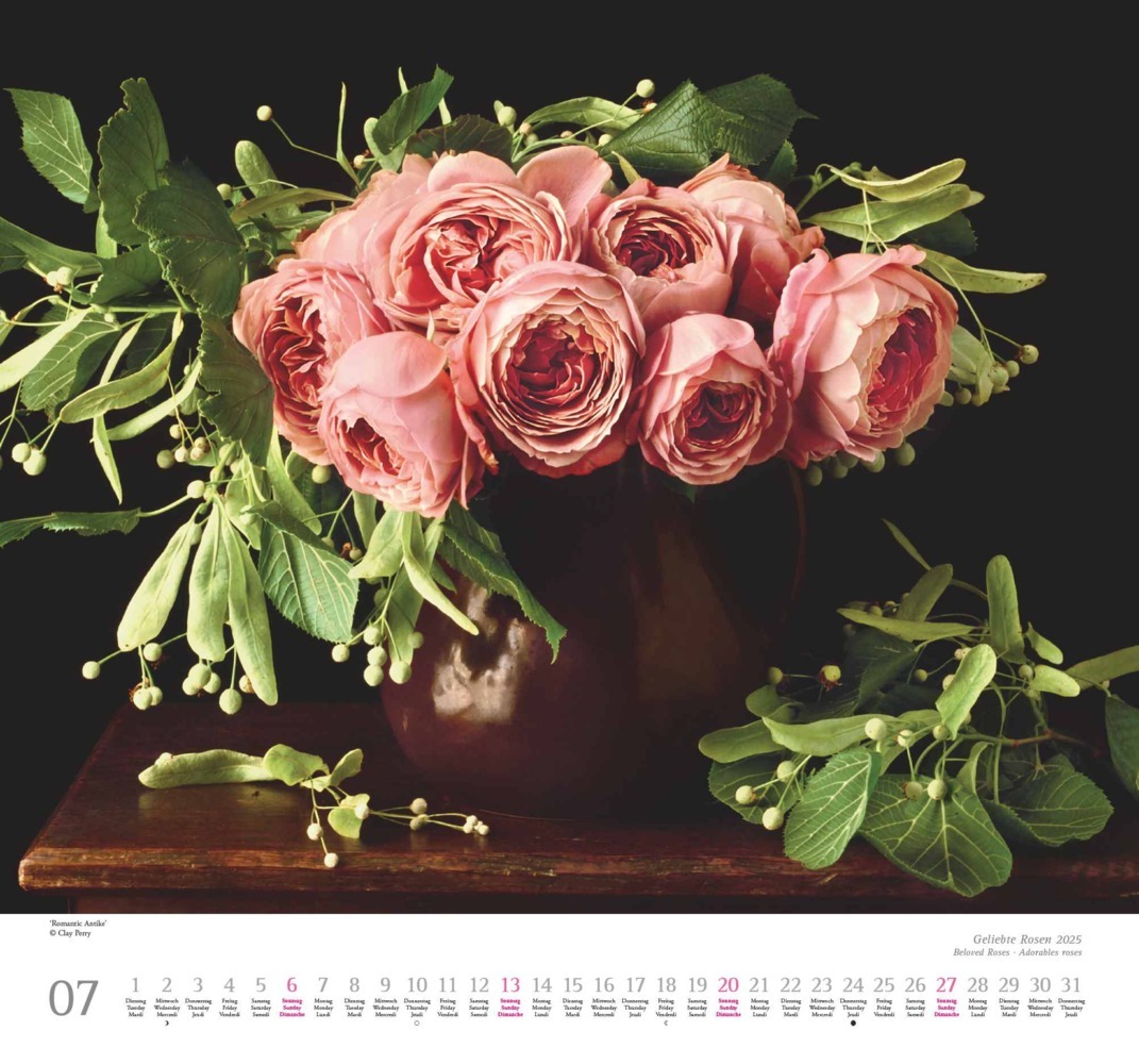 Bild: 4250809653082 | DUMONT - Geliebte Rosen 2025 Wandkalender, 30x30cm, Kalender mit...