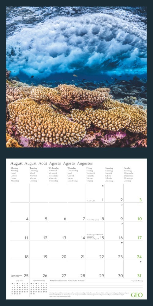 Bild: 4002725988621 | GEO - Amazing Nature 2025 Wandkalender 30x30 cm - Fotokalender für...