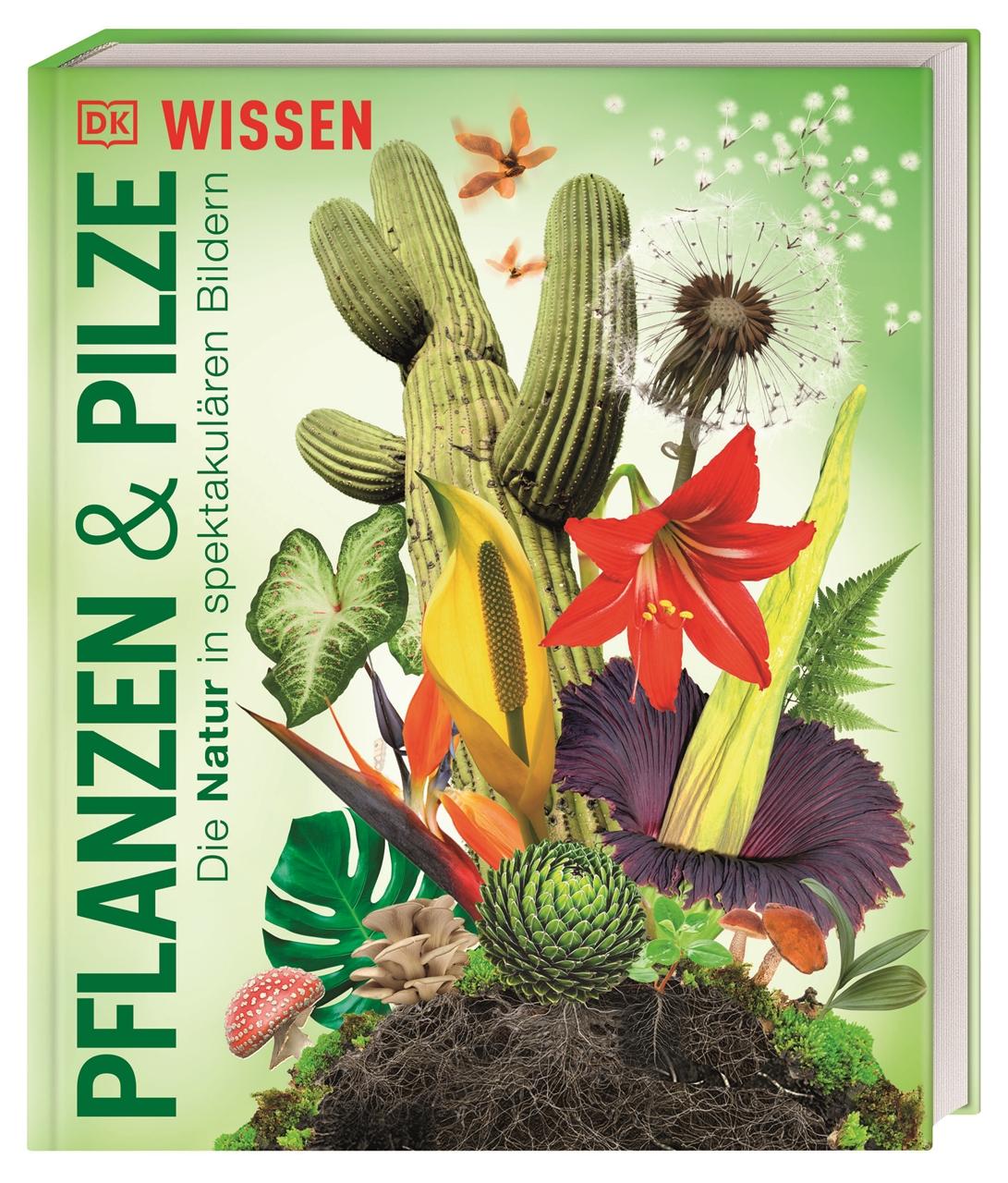 Cover: 9783831049134 | DK Wissen. Pflanzen und Pilze | DK Verlag - Kids | Buch | DK Wissen