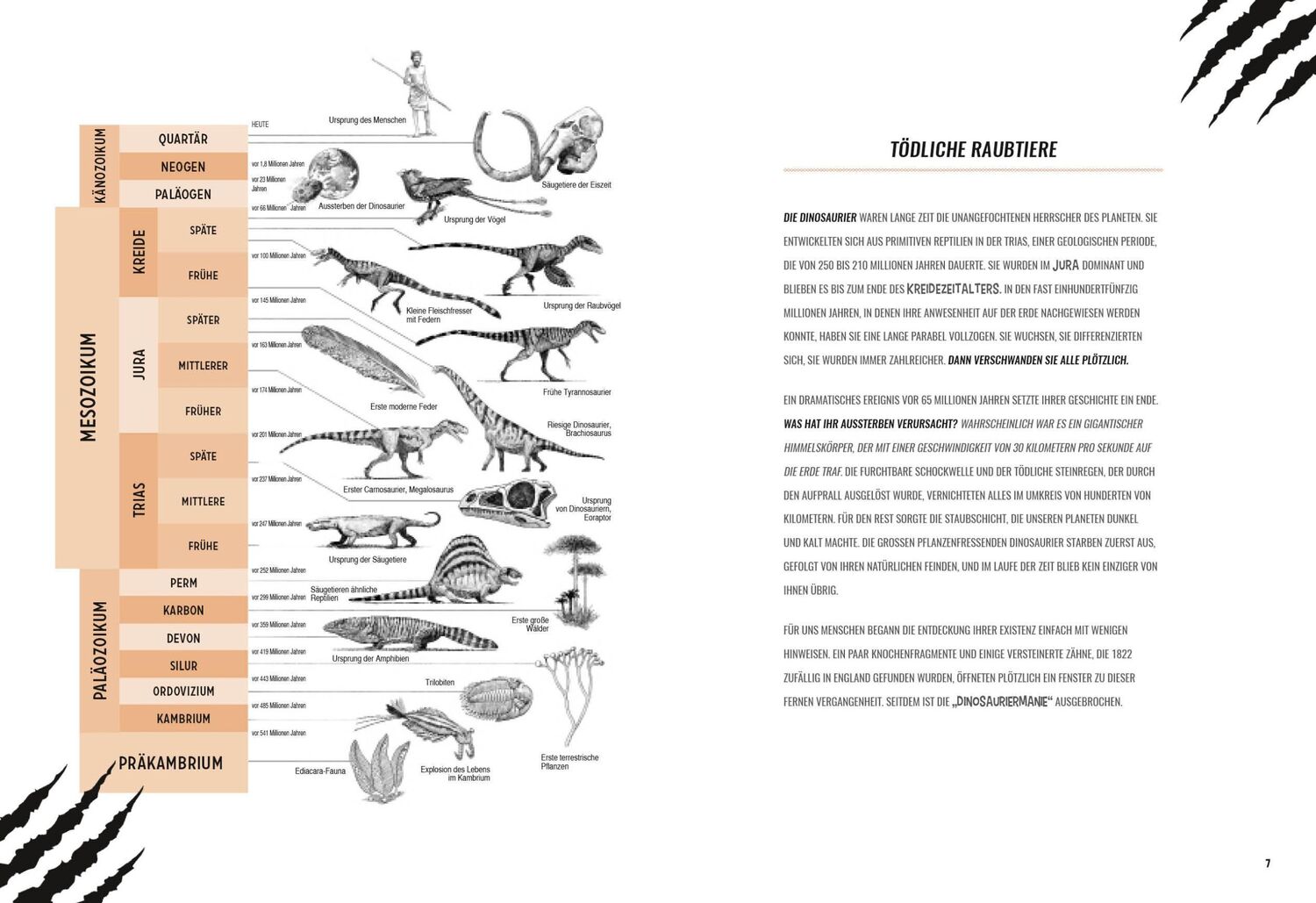 Bild: 9788863125399 | Garcia Mora, R: Die größten fleischfressenden Dinosaurier | Buch