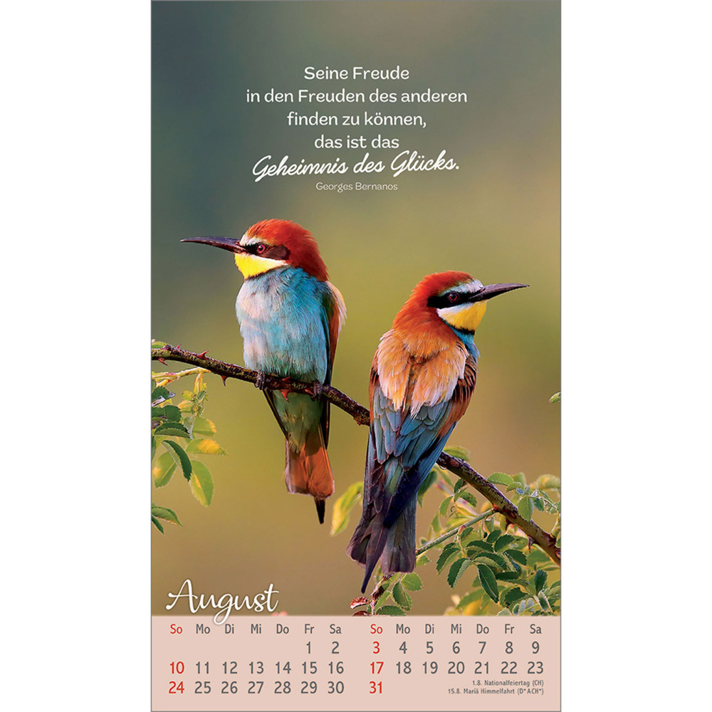 Bild: 9783754879757 | Beflügelt und geborgen | Vögel 2025 | Kalender | 13 S. | Deutsch