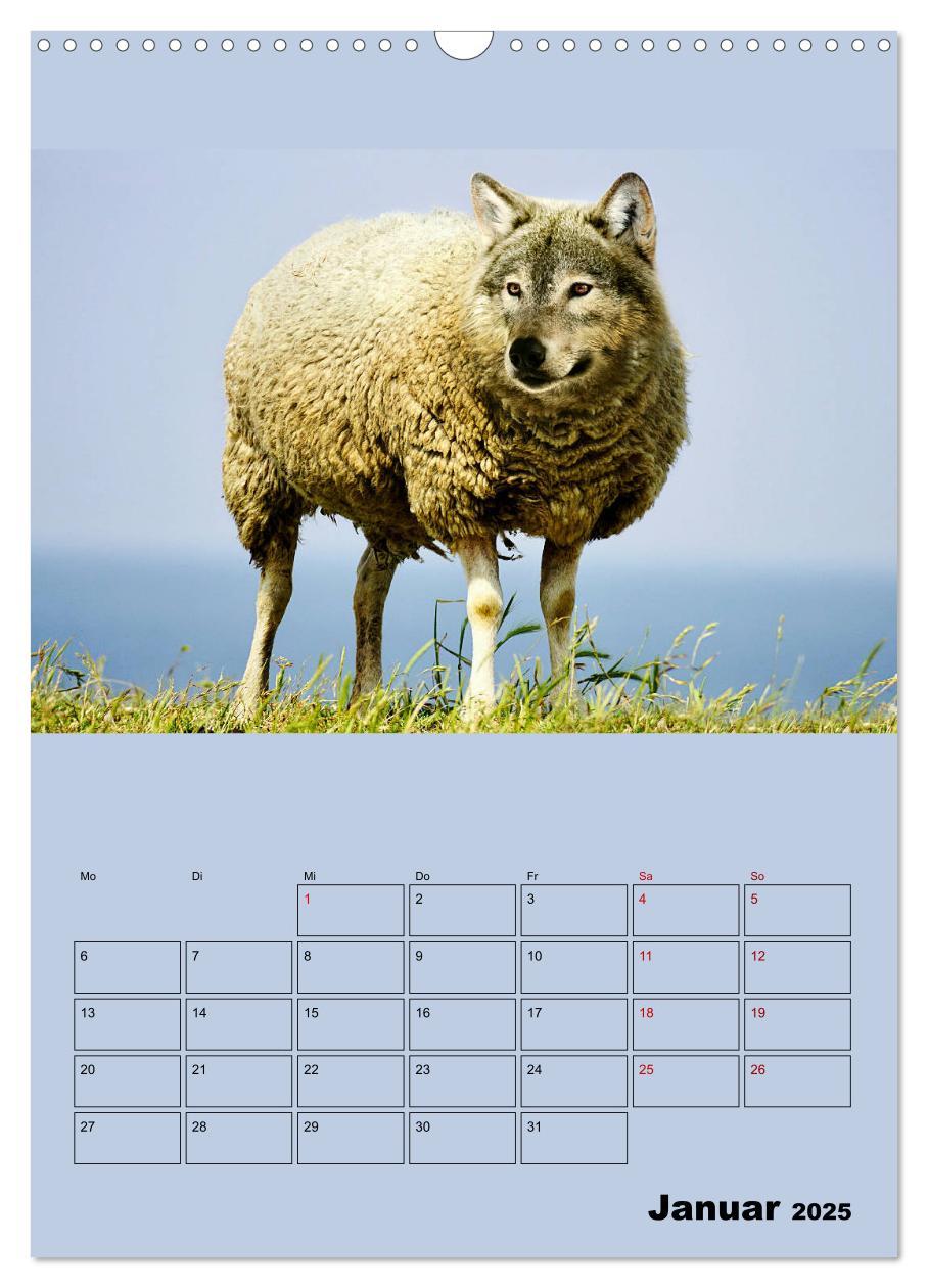 Bild: 9783435979189 | Seltsame Tiere - da stimmt doch was nicht... (Wandkalender 2025 DIN...