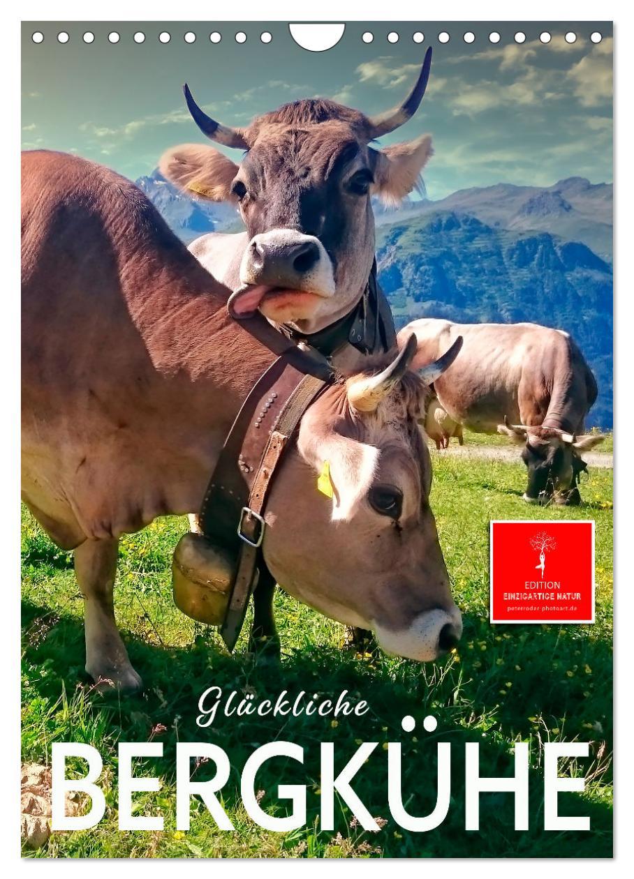 Cover: 9783435904358 | Glückliche Bergkühe (Wandkalender 2025 DIN A4 hoch), CALVENDO...