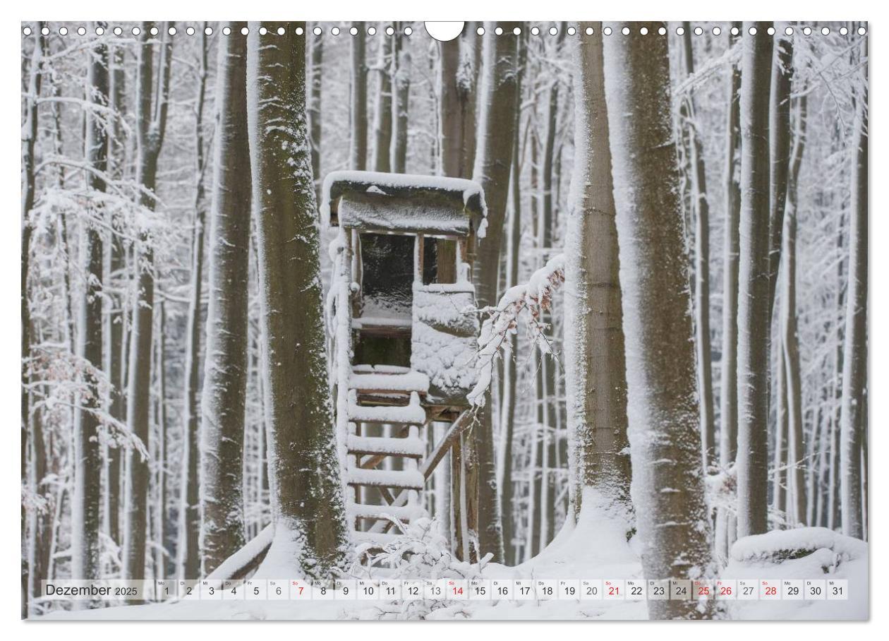 Bild: 9783435597826 | Emotionale Momente: Wild und Jagd. (Wandkalender 2025 DIN A3 quer),...