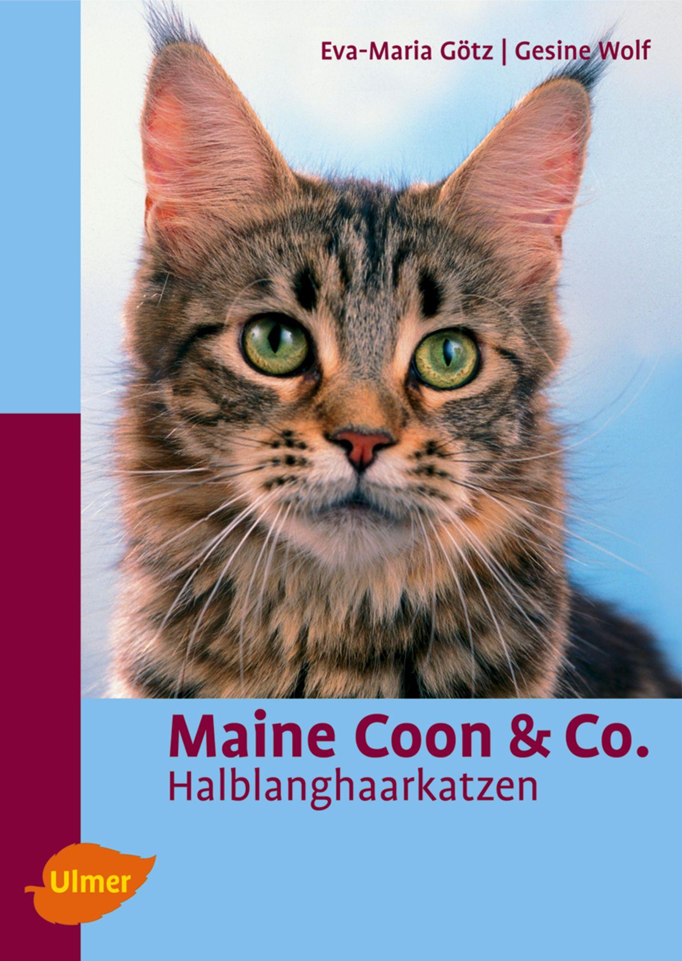 Cover: 9783800148431 | Maine Coon &amp; Co | Halblanghaarkatzen | Eva M. Götz (u. a.) | Buch