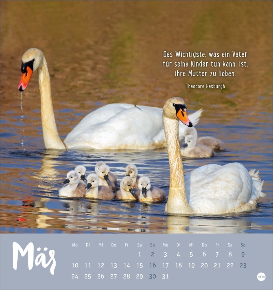 Bild: 9783756407194 | Mama! Postkartenkalender 2025 - Ohne dich geht nix! | Kalender | 13 S.