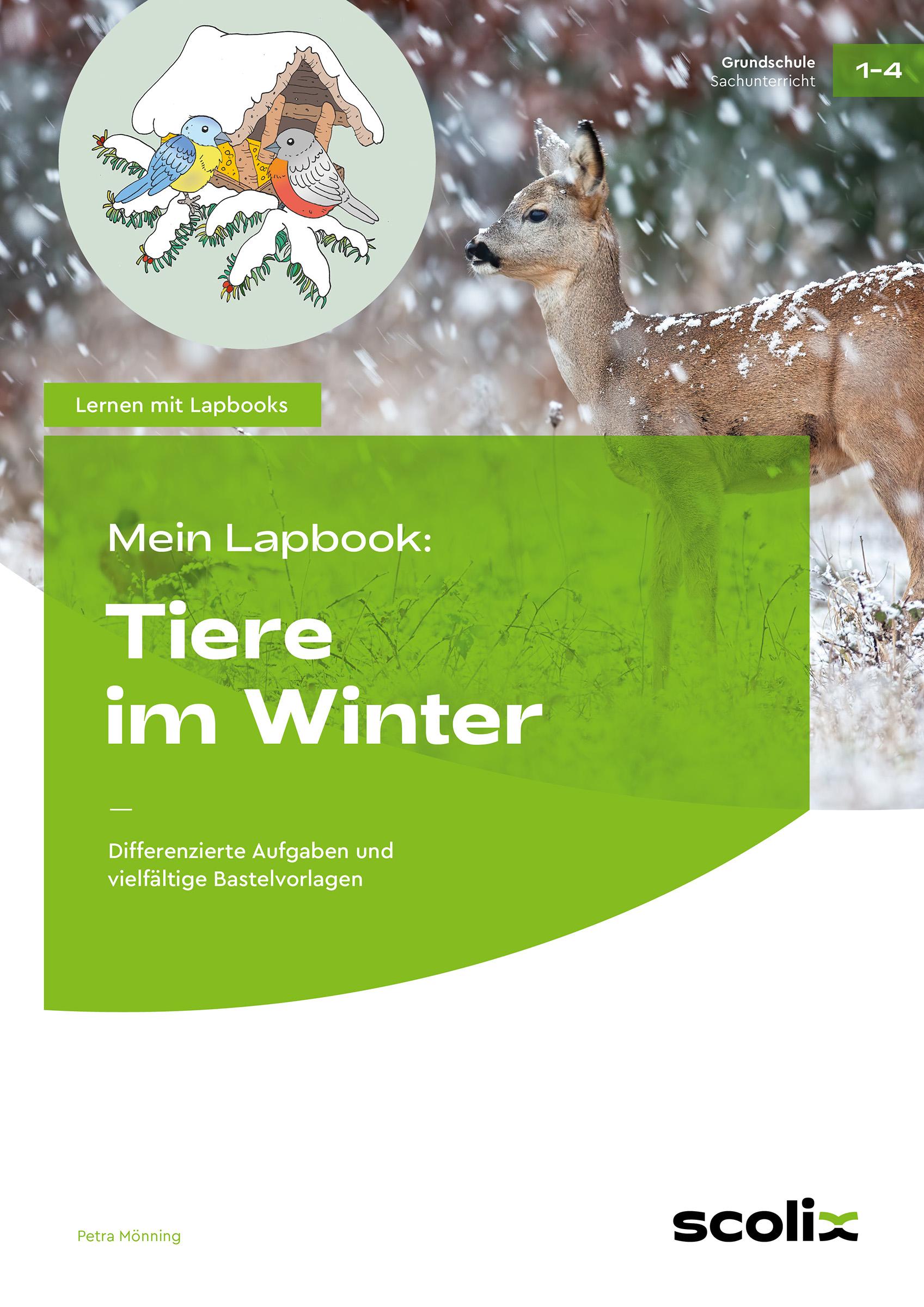 Cover: 9783403107811 | Mein Lapbook: Tiere im Winter | Petra Mönning | Broschüre | 63 S.