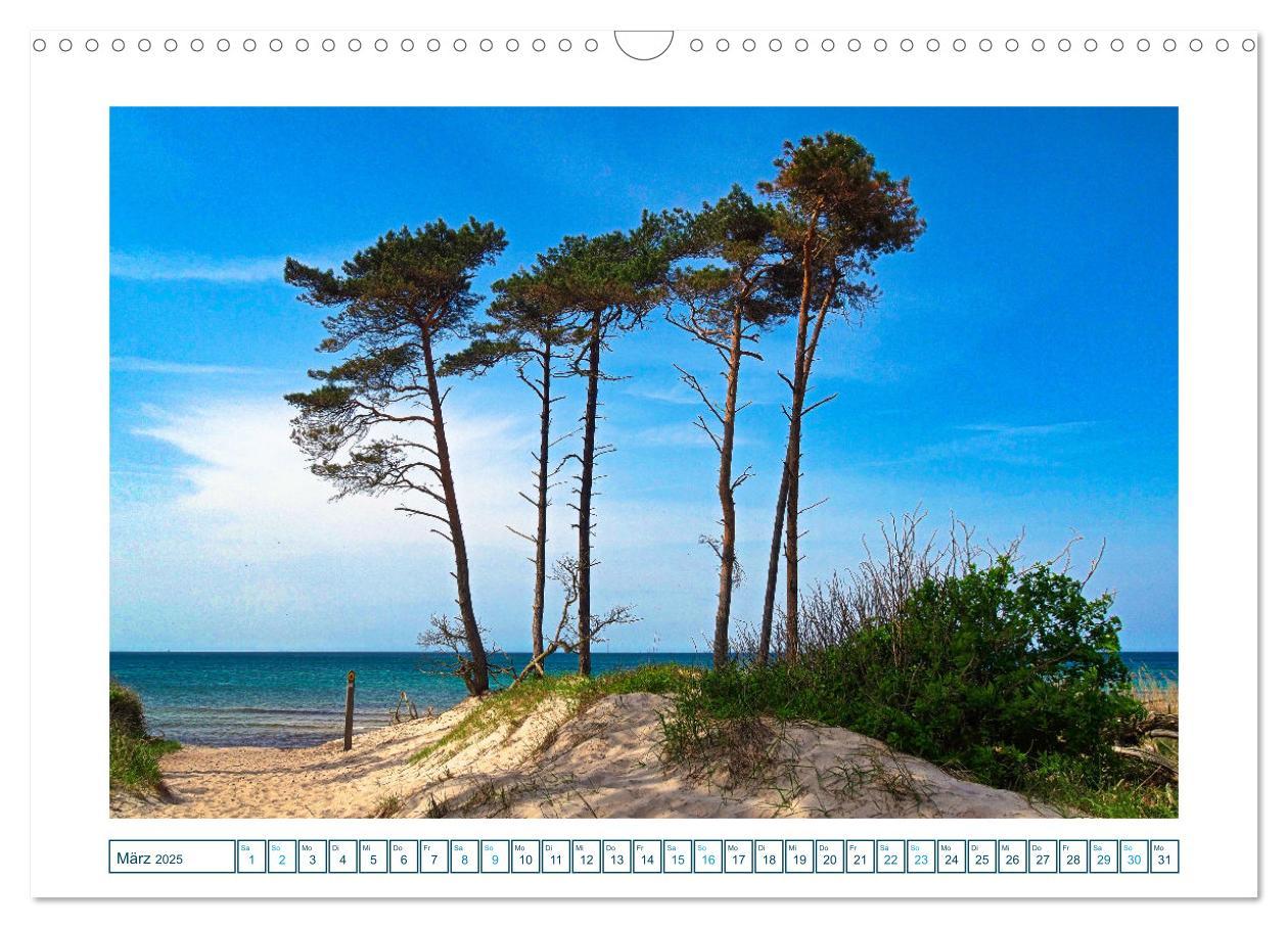 Bild: 9783457242162 | Der Weststrand am Darß (Wandkalender 2025 DIN A3 quer), CALVENDO...