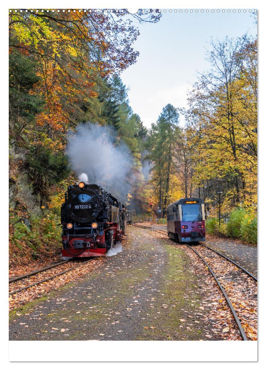 Bild: 9783383833250 | Faszination Museumsbahn (Wandkalender 2025 DIN A2 hoch), CALVENDO...