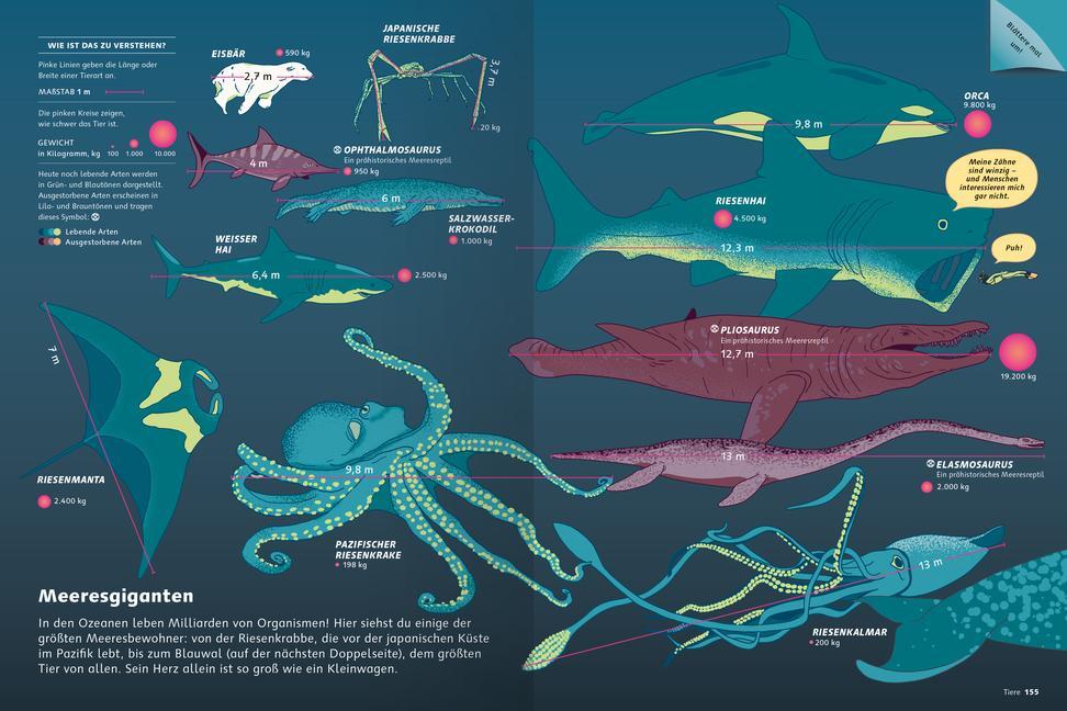 Bild: 9783473480791 | Das große Buch der Infografiken. Ein visuelles Lexikon für Kinder -...