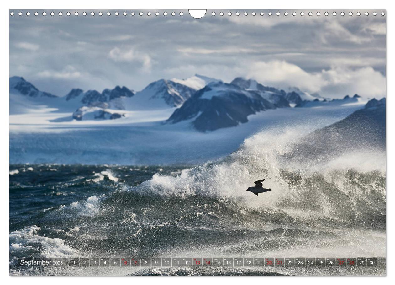 Bild: 9783435304950 | Svalbard-Momente (Wandkalender 2025 DIN A3 quer), CALVENDO...