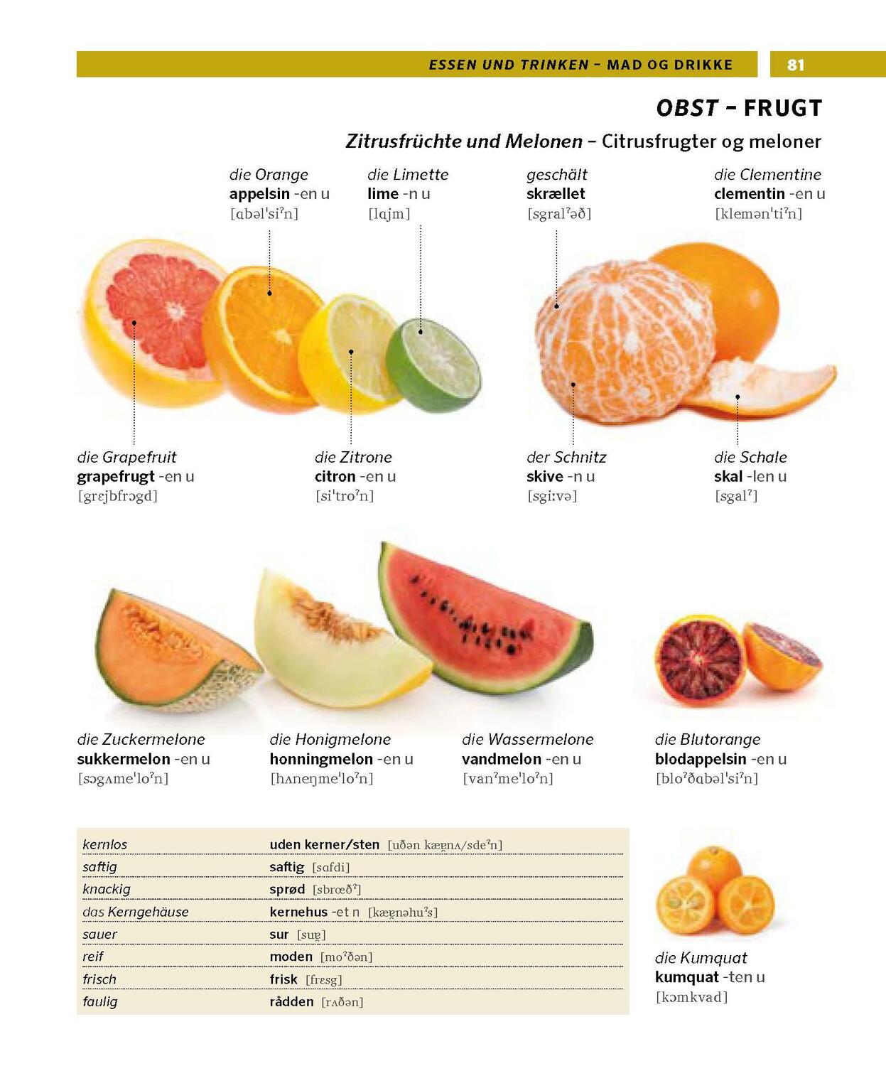 Bild: 9783125163645 | PONS Bildwörterbuch Dänisch | Taschenbuch | PONS Bildwörterbuch | 2023