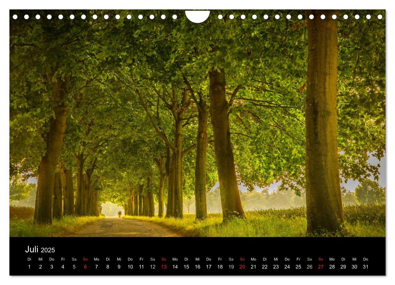 Bild: 9783435665778 | Meerbusch. Meerer Busch (Wandkalender 2025 DIN A4 quer), CALVENDO...