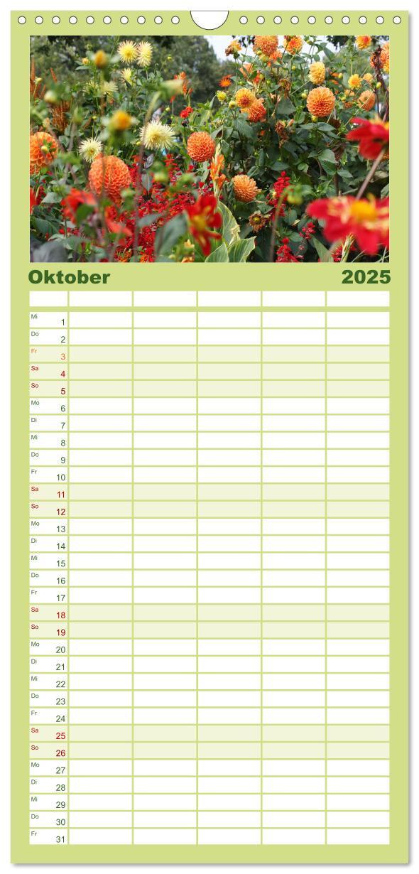 Bild: 9783457100653 | Familienplaner 2025 - Urlaub im Garten mit 5 Spalten (Wandkalender,...