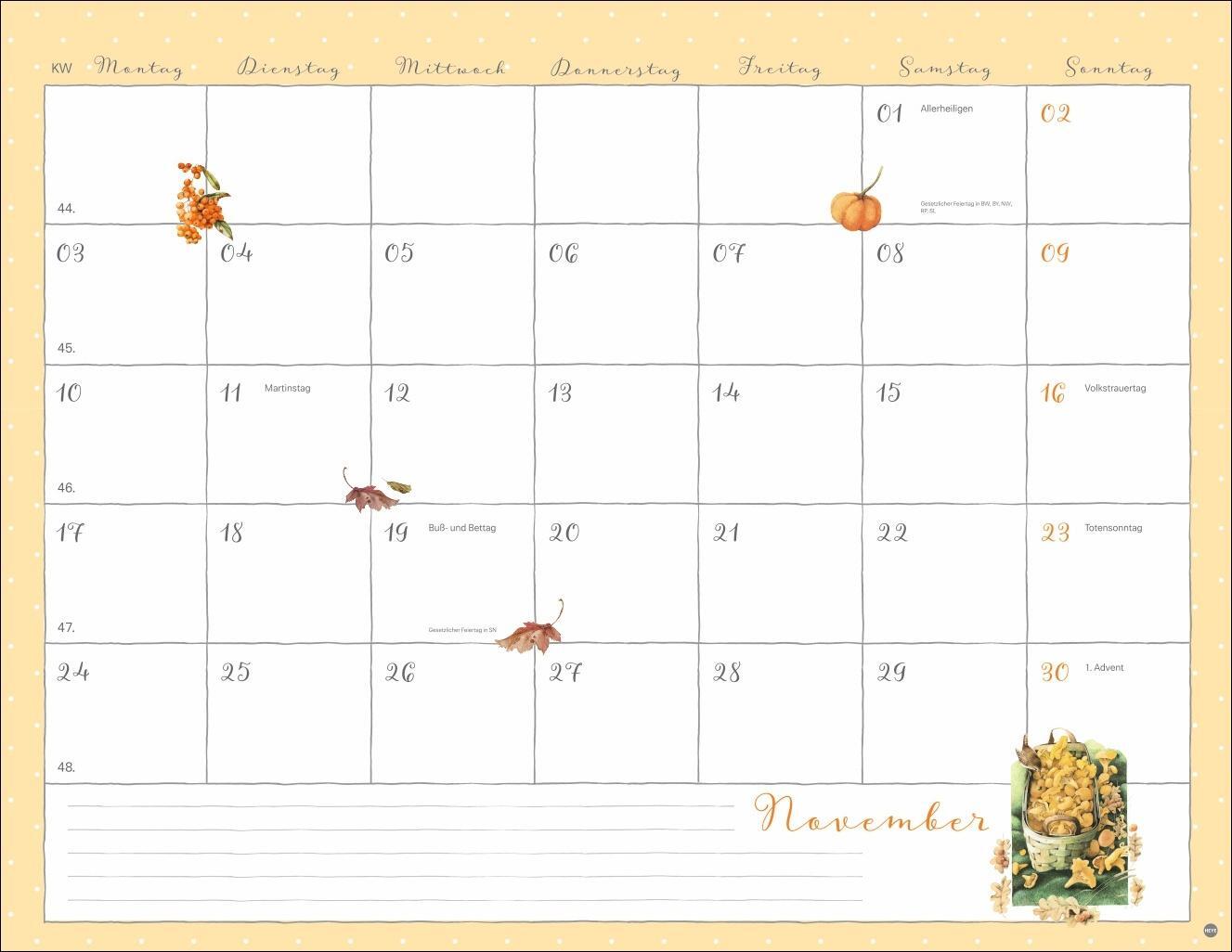 Bild: 9783756408849 | Marjolein Bastin: Monatsplaner 2025 | Kalender | Spiralbindung | 15 S.