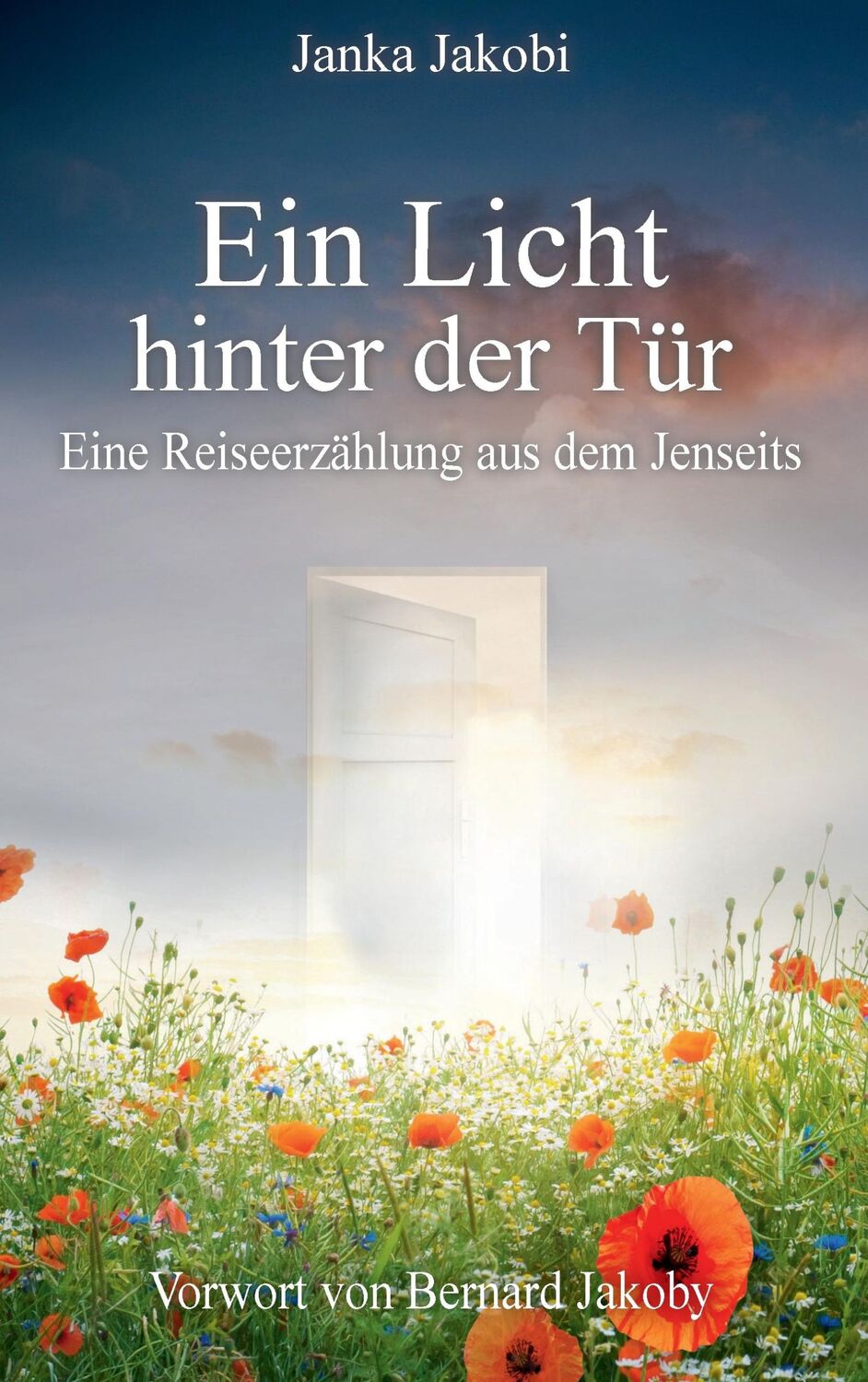 Cover: 9783732284702 | Ein Licht hinter der Tür | Eine Reiseerzählung aus dem Jenseits | Buch