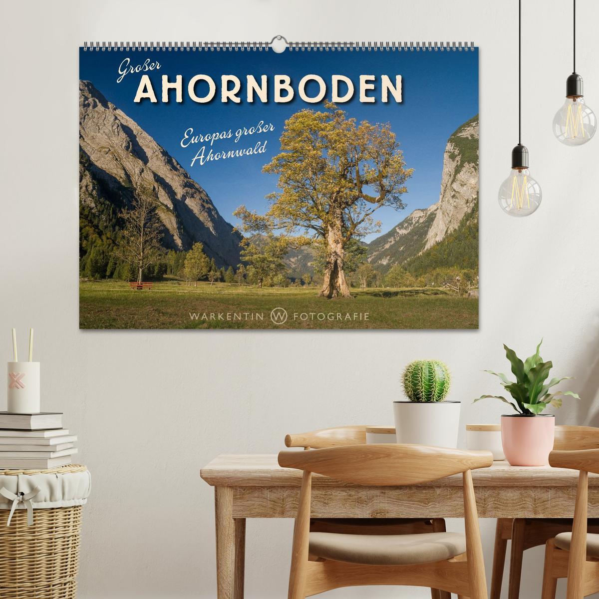 Bild: 9783435613977 | Großer Ahornboden - Europas großer Ahornwald (Wandkalender 2025 DIN...