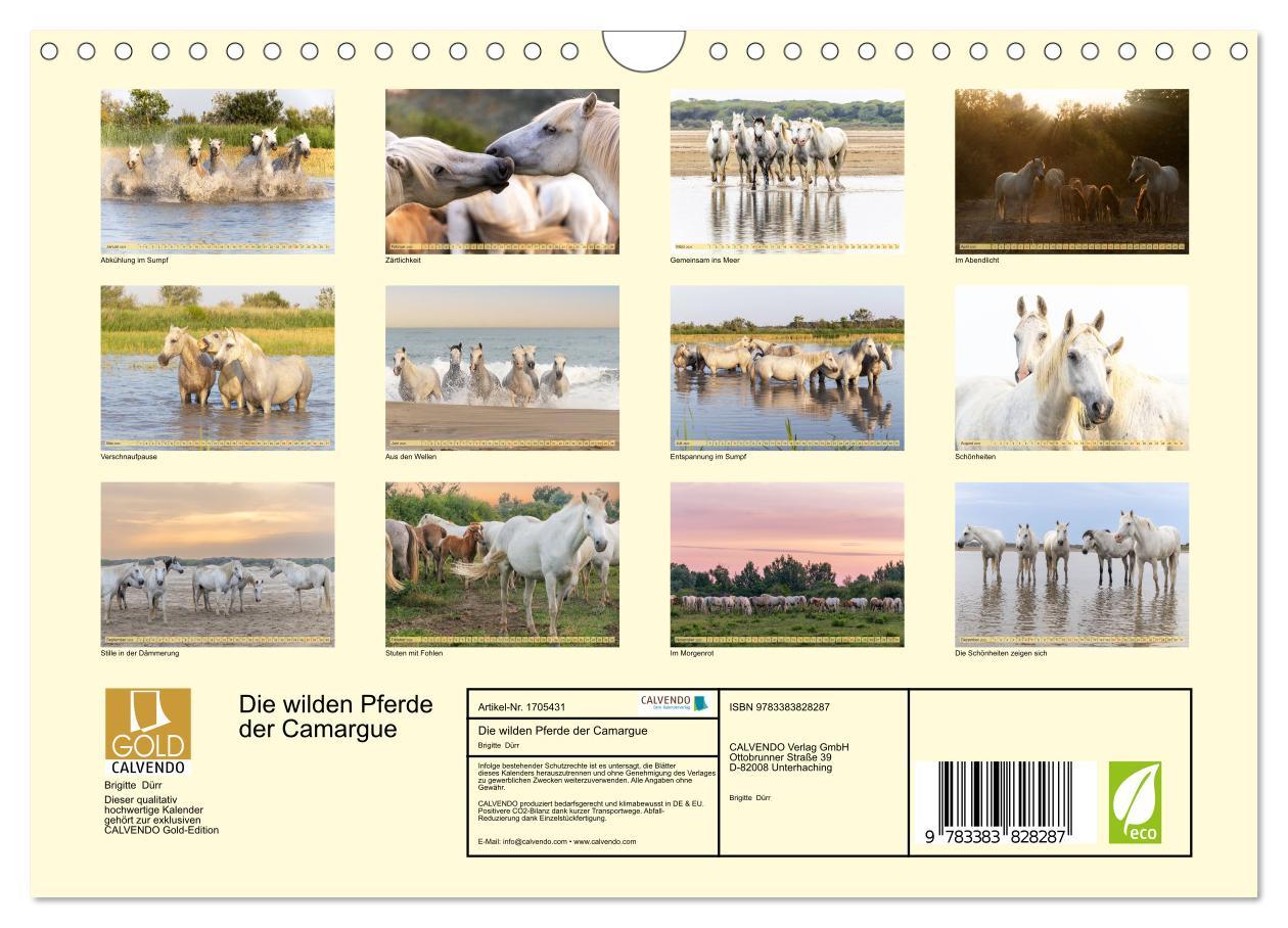 Bild: 9783383828287 | Die wilden Pferde der Camargue (Wandkalender 2025 DIN A4 quer),...