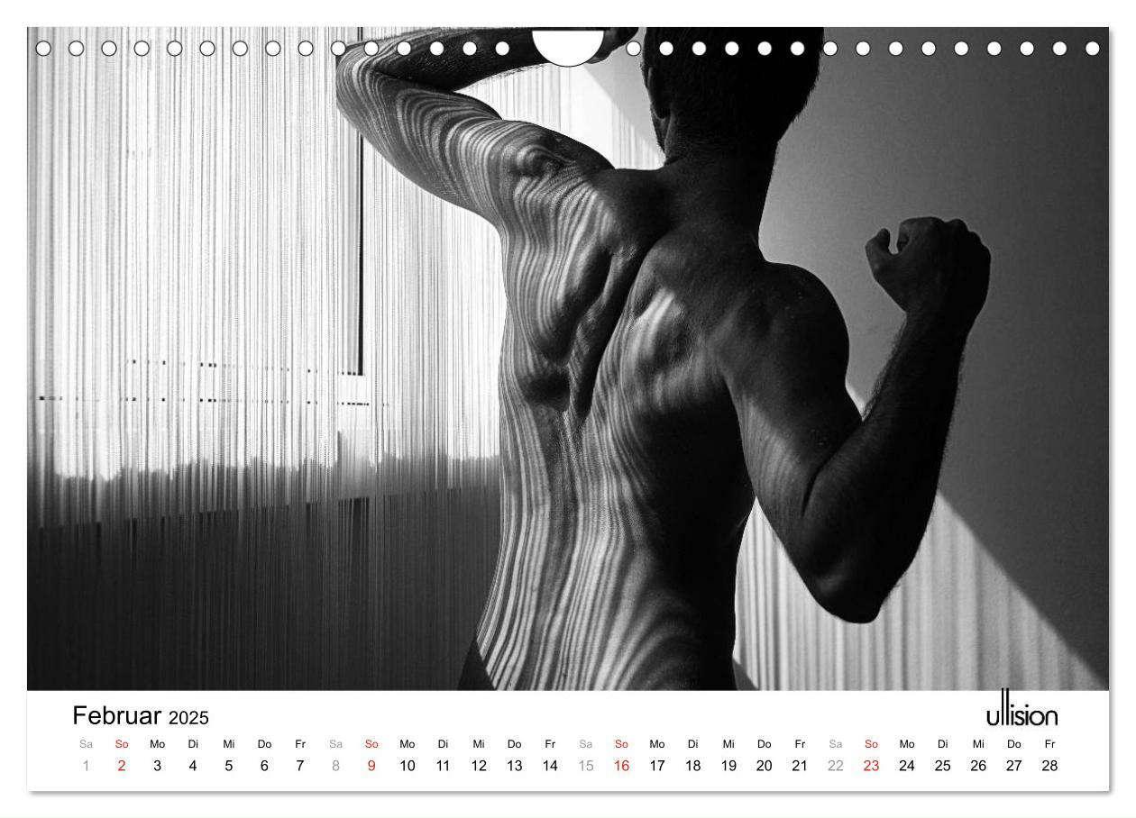 Bild: 9783435566112 | Männer AKT Art (Wandkalender 2025 DIN A4 quer), CALVENDO...