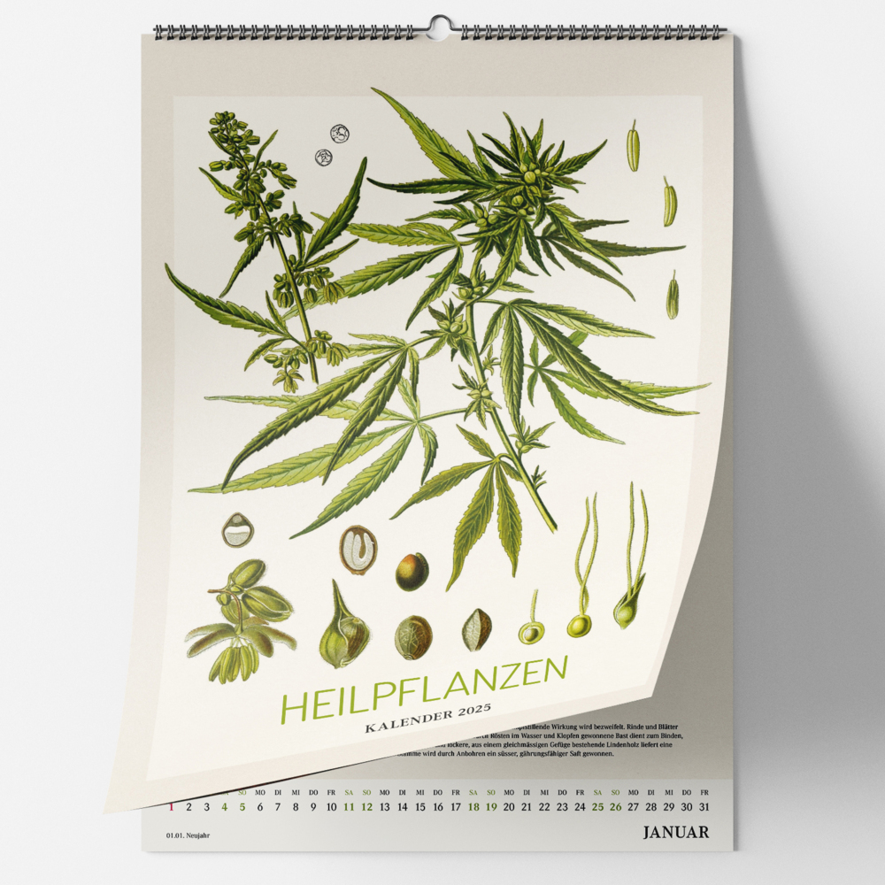 Cover: 9783968491578 | Historische Heilpflanzen. Wandkalender 2025 | Kalender | 14 S. | 2025