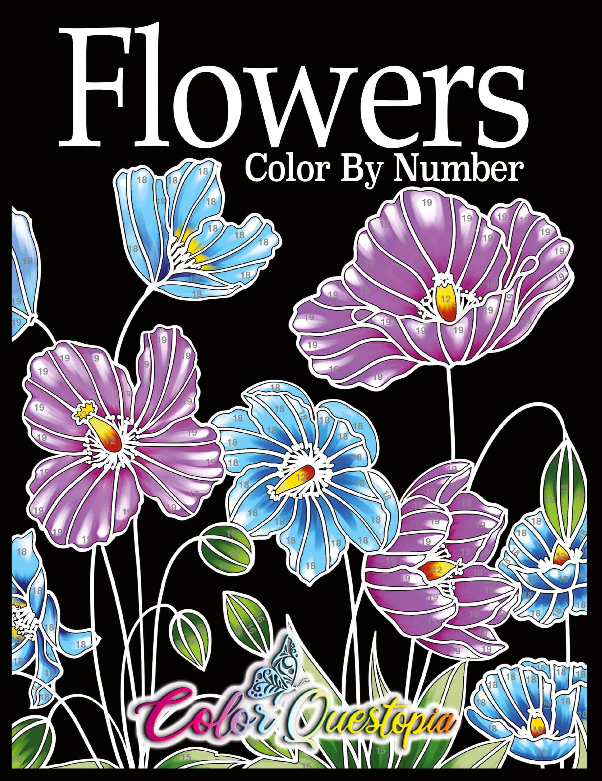 Cover: 9781954883420 | Flowers Color by Number | Color Questopia | Taschenbuch | Englisch