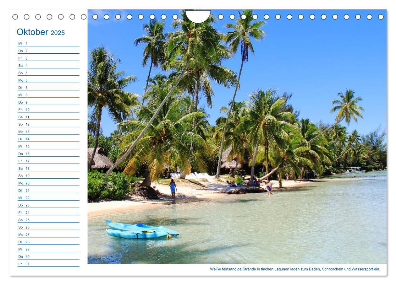 Bild: 9783435509874 | Südsee-Insel Mo'orea (Wandkalender 2025 DIN A4 quer), CALVENDO...