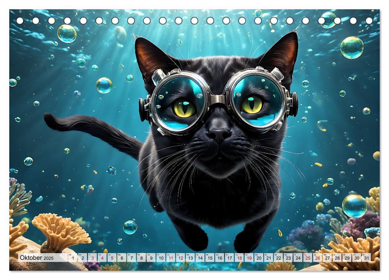 Bild: 9783383843945 | Katzen unter Wasser (Tischkalender 2025 DIN A5 quer), CALVENDO...