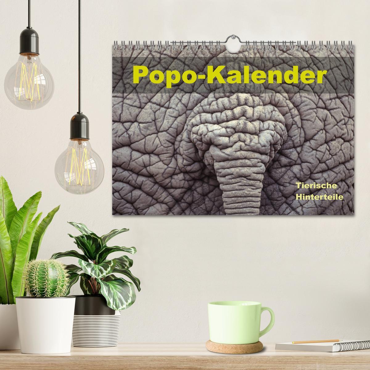 Bild: 9783435151219 | Popo-Kalender (Wandkalender 2025 DIN A4 quer), CALVENDO Monatskalender