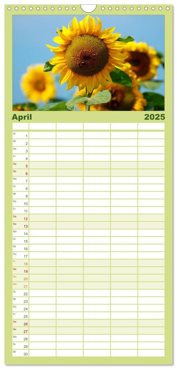 Bild: 9783457110928 | Familienplaner 2025 - Sonnenblumen mit 5 Spalten (Wandkalender, 21...