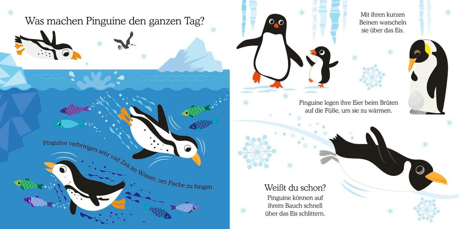 Bild: 9783737359559 | Glücksfisch: Weißt du, was die Tiere machen? Kleiner Pinguin | Buch