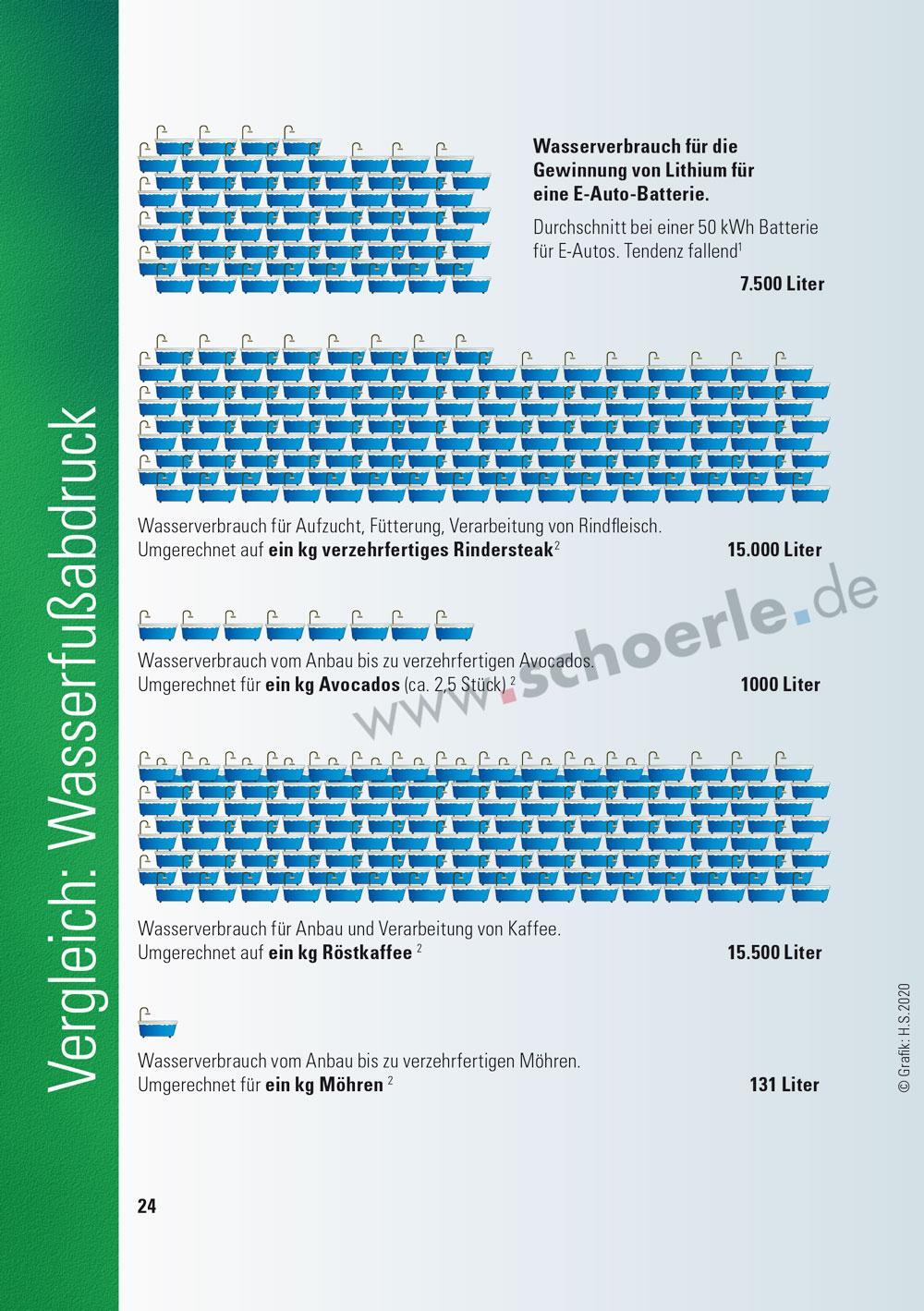 Bild: 9783926341167 | Das A und O der Elektro-Mobilität | Hajo Schörle | Taschenbuch | 2020