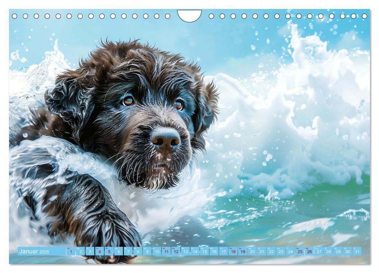 Bild: 9783457129227 | Hunde und Wasser (Wandkalender 2025 DIN A4 quer), CALVENDO...