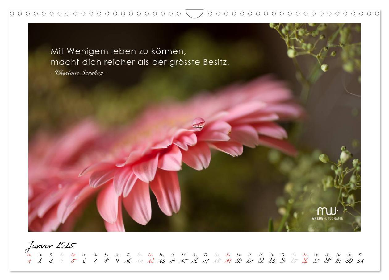 Bild: 9783435658060 | Gedanken... Bildkalender mit Sprüchen (Wandkalender 2025 DIN A3...