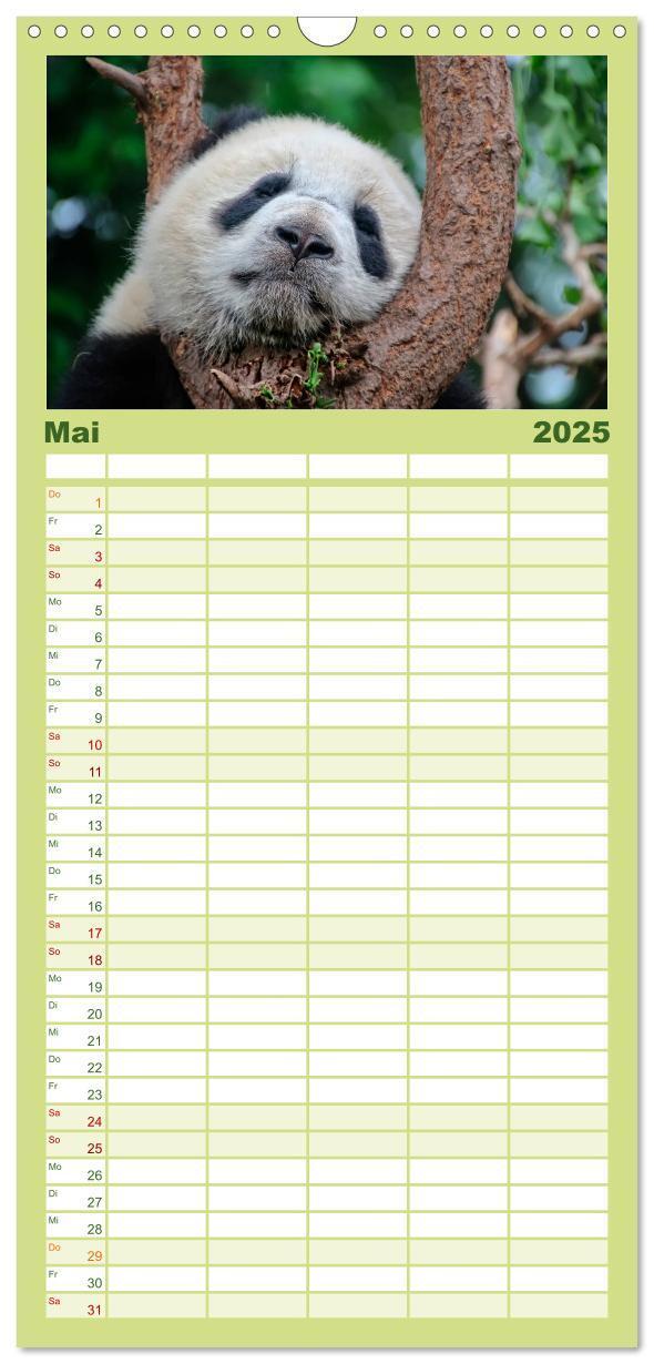 Bild: 9783457116166 | Familienplaner 2025 - Niedlicher Panda mit 5 Spalten (Wandkalender,...