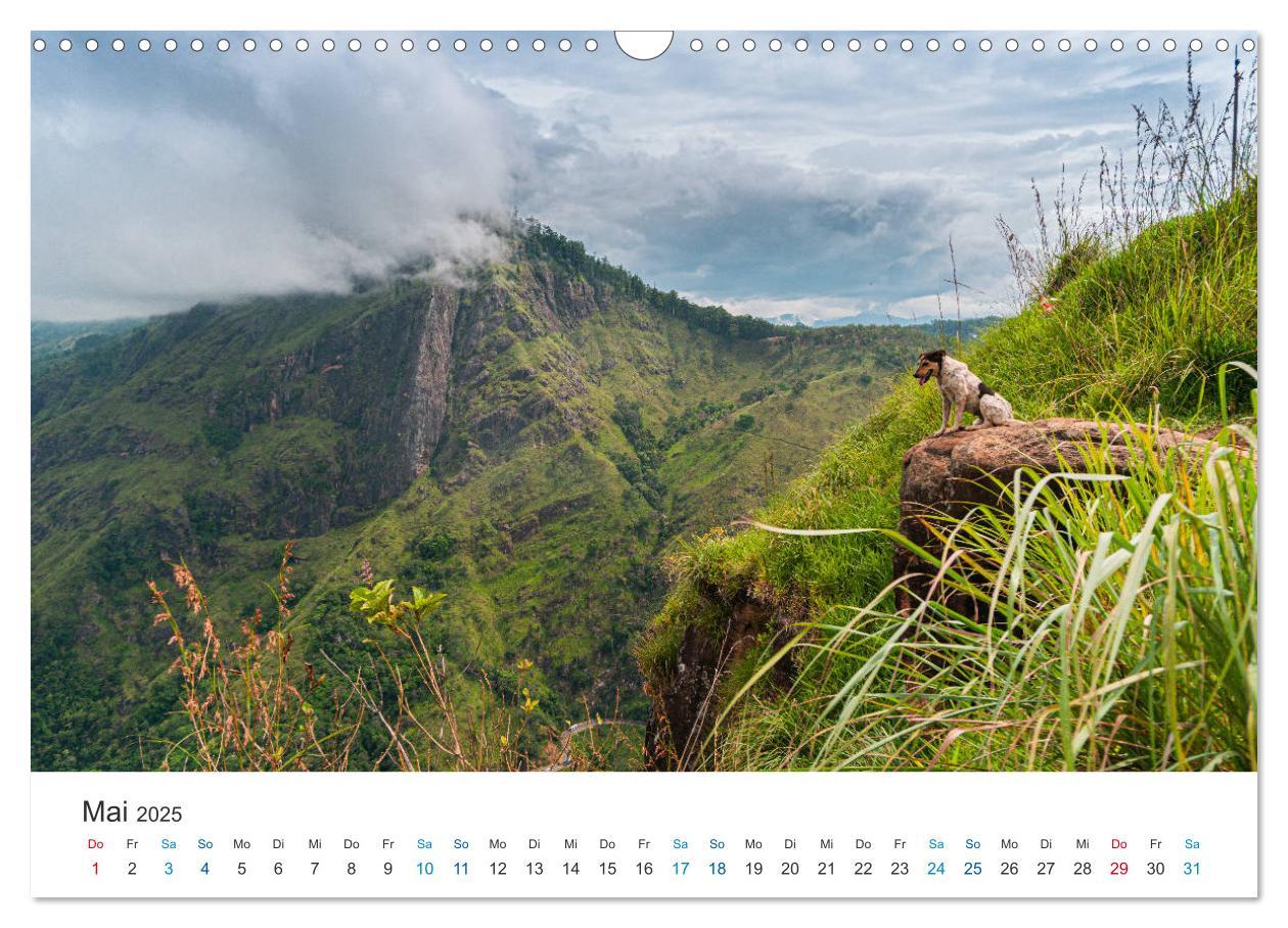 Bild: 9783435150366 | Traumziel Sri Lanka (Wandkalender 2025 DIN A3 quer), CALVENDO...