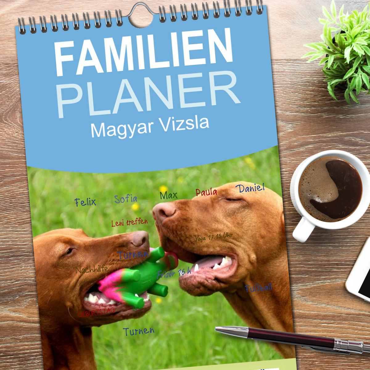 Bild: 9783457119815 | Familienplaner 2025 - Magyar Vizsla mit 5 Spalten (Wandkalender, 21...