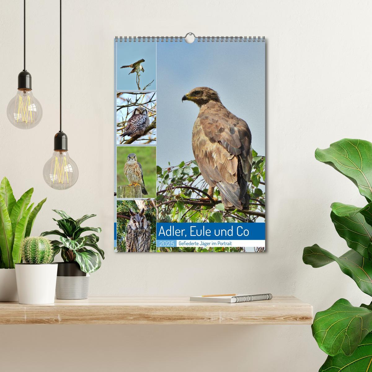 Bild: 9783383766411 | Adler, Eule und Co - Gefiederte Jäger im Portrait (Wandkalender...