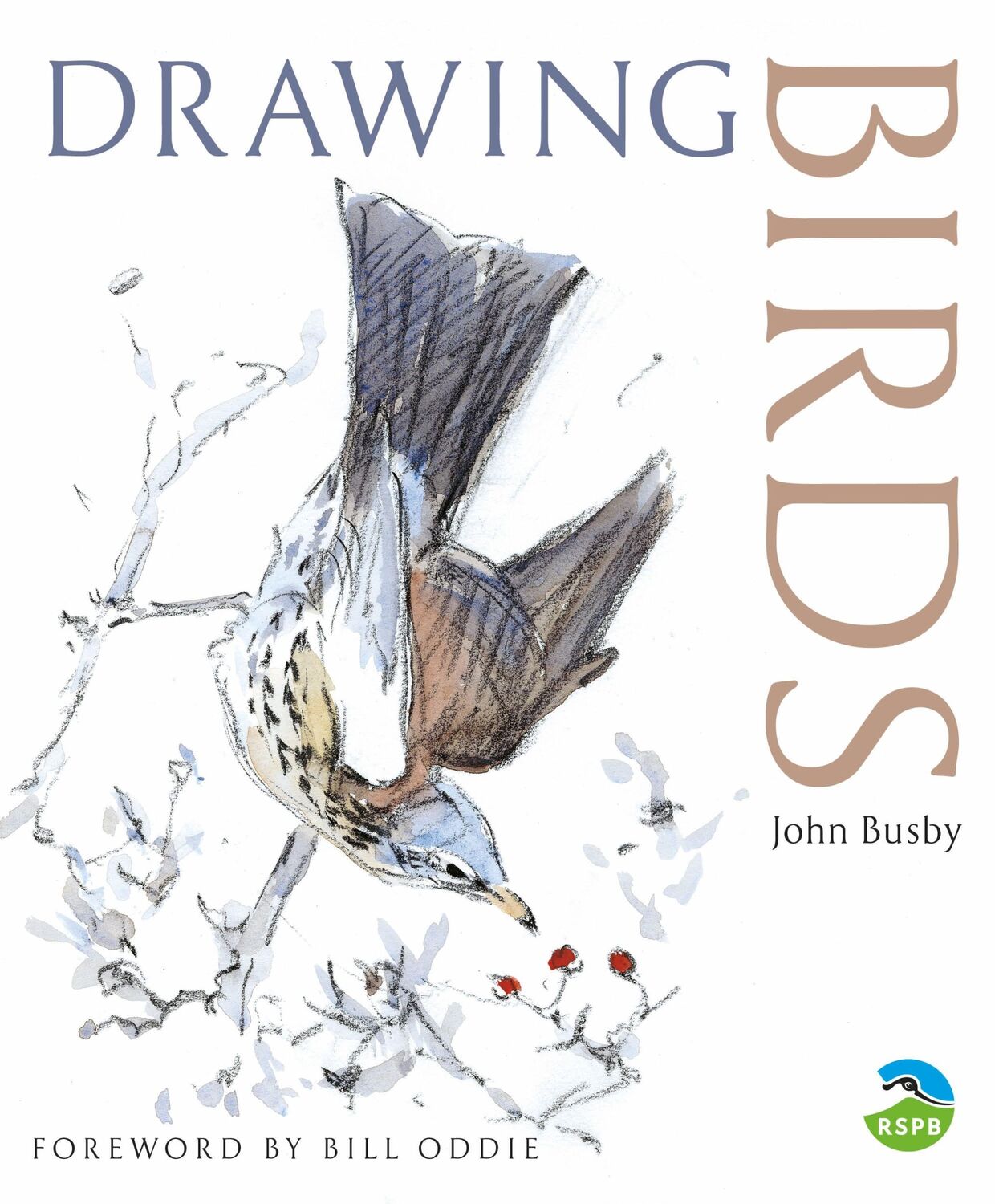 Cover: 9780713668162 | Drawing Birds | John Busby | Taschenbuch | Kartoniert / Broschiert