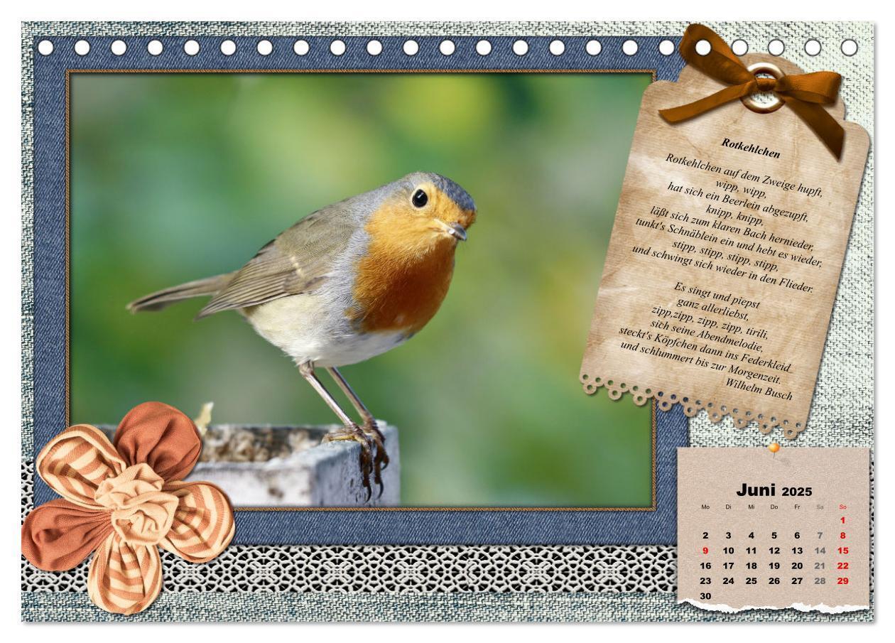 Bild: 9783435081905 | Der poetische Vogelkalender (Tischkalender 2025 DIN A5 quer),...