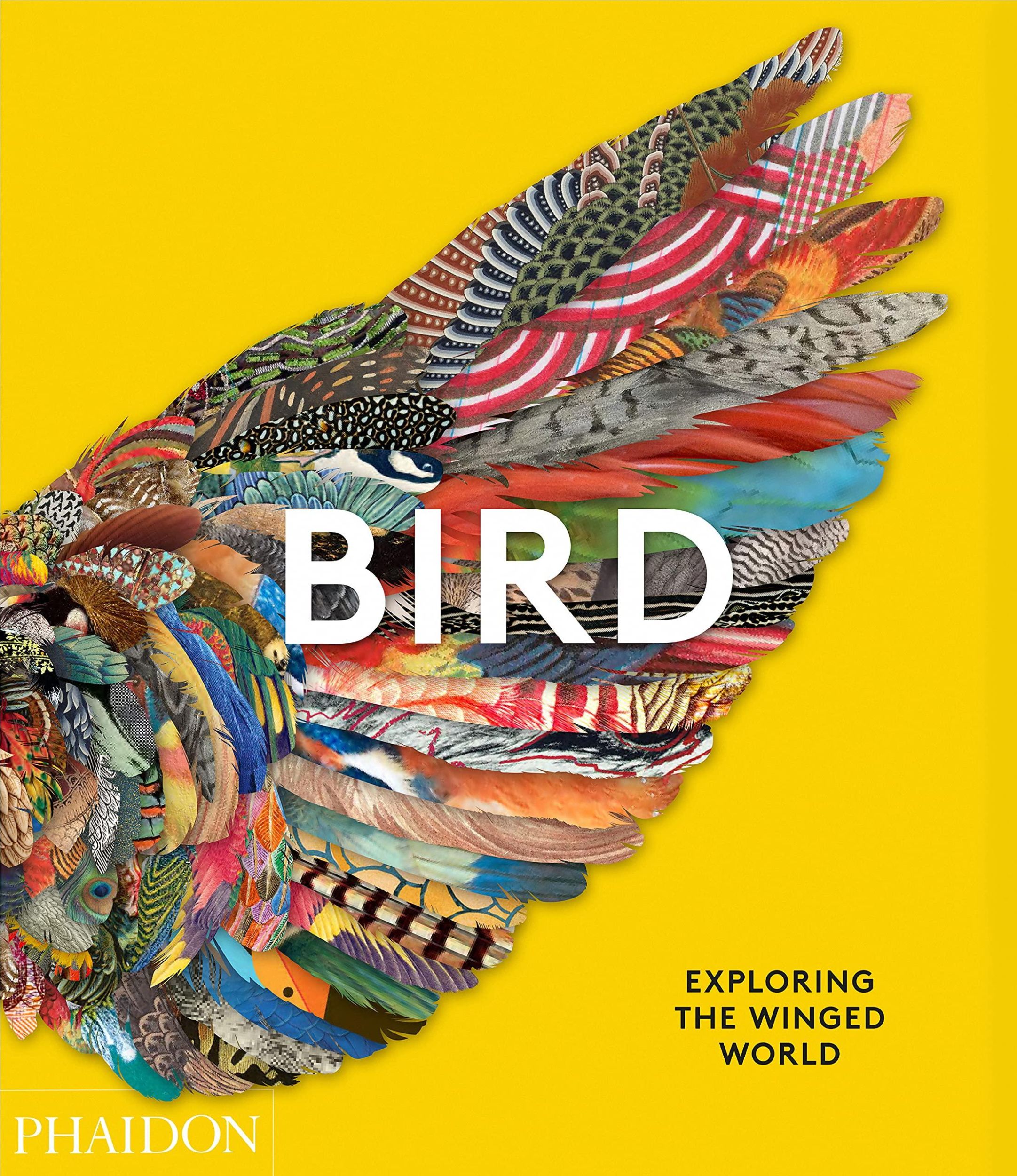 Cover: 9781838661403 | Bird | Exploring the Winged World | Katrina van Grouw (u. a.) | Buch