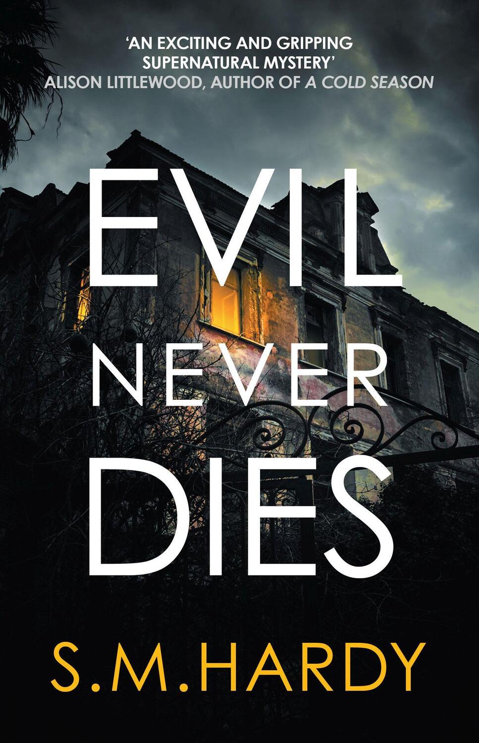 Cover: 9780749025755 | Evil Never Dies | The Gripping Paranormal Mystery | S M Hardy | Buch