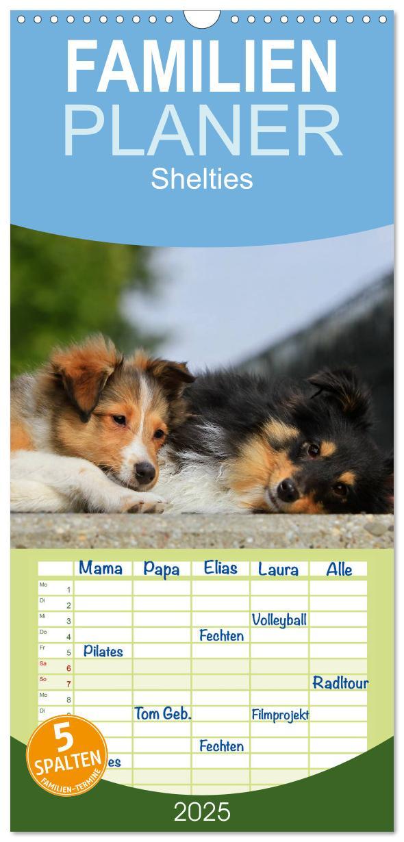 Cover: 9783457118955 | Familienplaner 2025 - Shelties 2025 mit 5 Spalten (Wandkalender, 21...