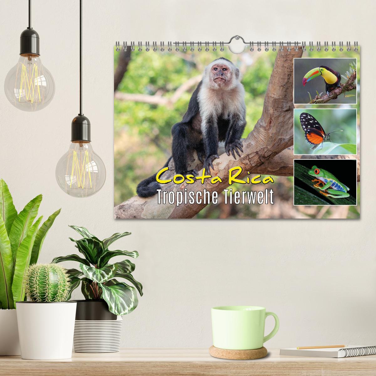 Bild: 9783383980756 | Costa Rica - Tropische Tierwelt (Wandkalender 2025 DIN A4 quer),...