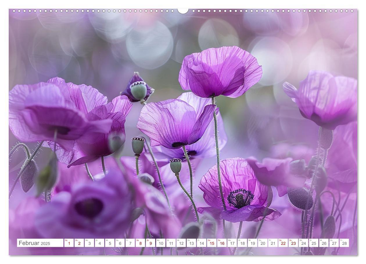 Bild: 9783383814655 | Bezaubernde Mohnblumen (hochwertiger Premium Wandkalender 2025 DIN...