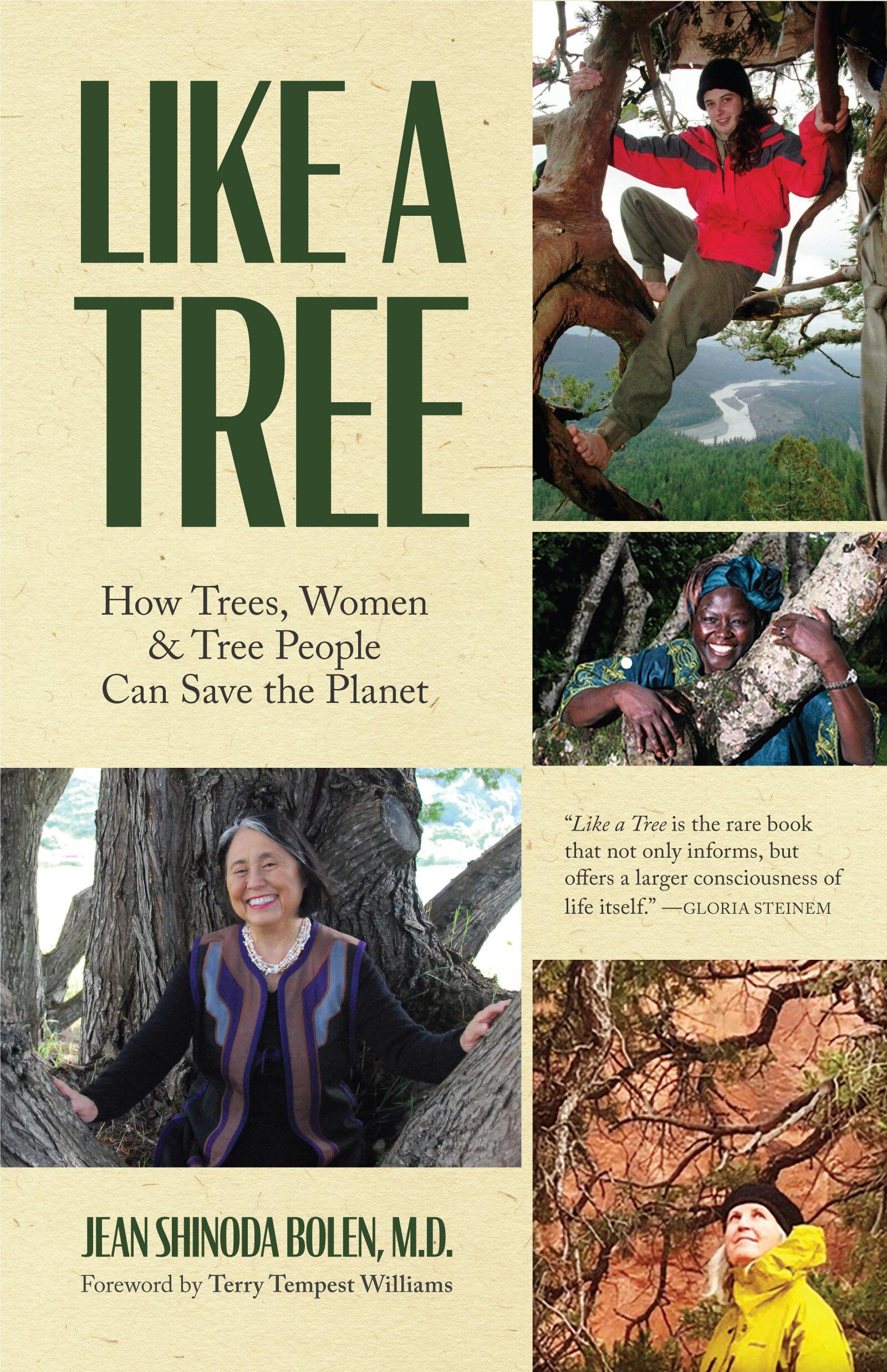 Bild: 9781642504064 | Like a Tree | Jean Shinoda Bolen | Taschenbuch | Englisch | 2021