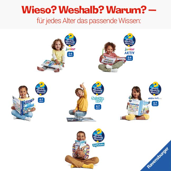 Bild: 9783473600281 | Wieso? Weshalb? Warum? Stickerheft: Fahrzeuge auf der Baustelle | Buch