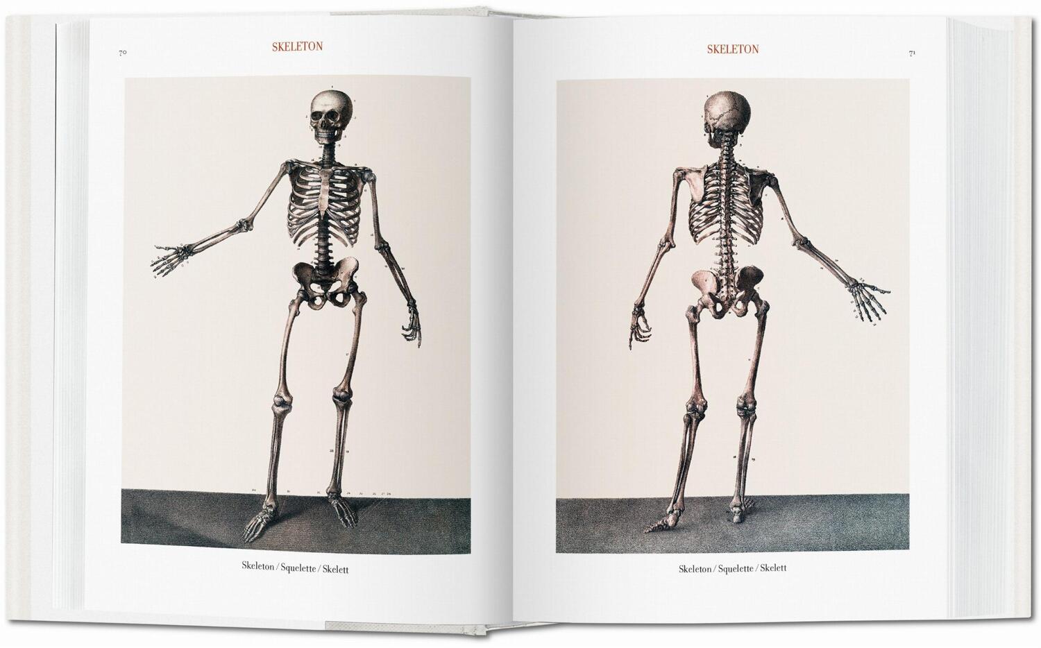 Bild: 9783836556620 | Jean Marc Bourgery. Atlas of Human Anatomy and Surgery | Minor (u. a.)