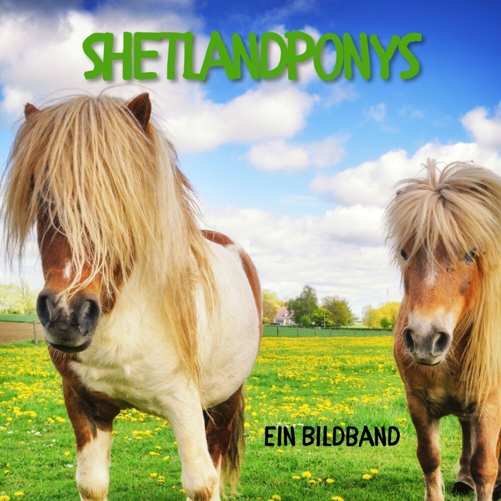 Cover: 9783750512801 | Shetlandponys | Ein Bildband | Bibi Hübsch | Taschenbuch | 42 S.