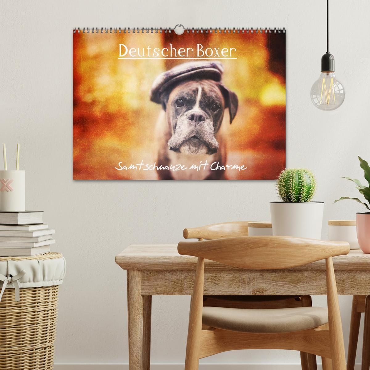 Bild: 9783435614196 | Deutscher Boxer (Wandkalender 2025 DIN A3 quer), CALVENDO...